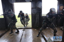 和平使命2013中俄联演举行首次实兵合练