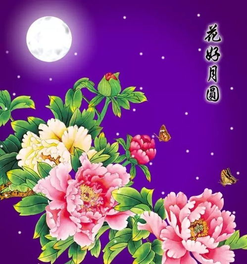元宵节到了,一首张灯结彩送给看微信的你,祝你月圆人团圆事事都如意