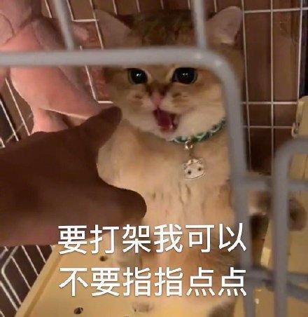 表情包六十九期