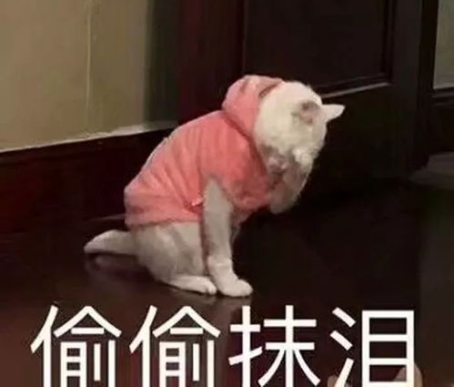 同一个世界,同一个爸啊