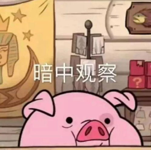 猪睡觉的表情包