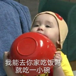 斗图表情包合集我懂了,我就是一个惹人讨厌的美丽女孩