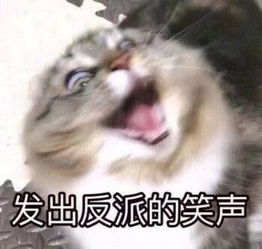 猫咪表情包发出反派的笑声富婆抱抱我