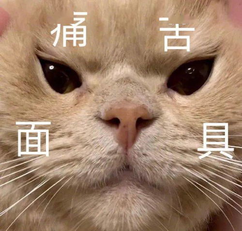 可爱表情包头像