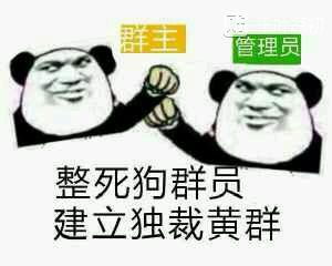 群聊必备表情图群主为何长期不现身这背后又隐藏着什么