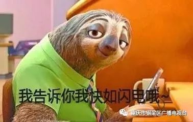 诗里的停车坐爱枫林晚,原来在奇彩梦园