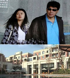 宋丹丹超大豪宅曝光扒扒成龙章子怡等明星豪宅哪个最奢华
