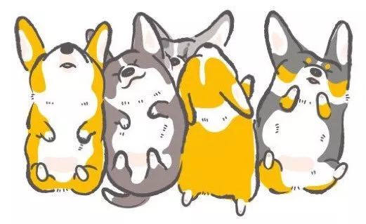 敲可爱的小柯基插画,你喜欢里面哪一只