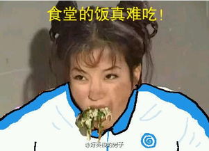 还珠格格上学表情包无水印全套qq表情arp绿色软件联盟