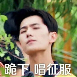 原来杨洋喜欢性感,小肉肉,纵观娱乐圈只有她符合标准
