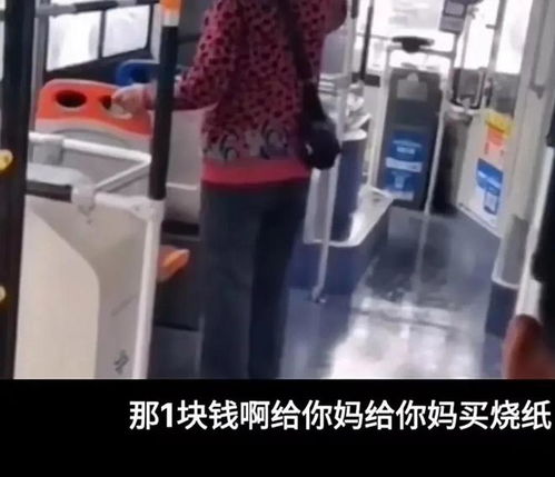 辽宁大妈忘带公交卡,要多花1元钱辱骂司机给你家人买纸钱烧