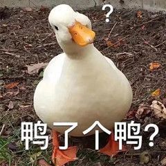 着急到手的教师资格证,说没就没了