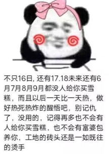 今日份表情包
