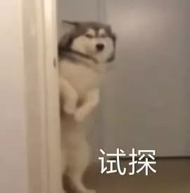 对不起,年纪小就是可以为所欲为