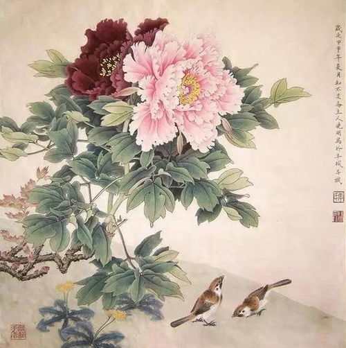 国画牡丹,正开艳180幅,大饱眼福