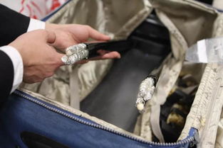 旅客从非洲带447件象牙制品被查行李箱拉杆藏匿象牙珠串