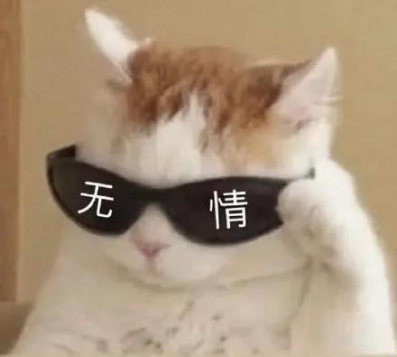 小坏坏打哈欠表情包冲浪