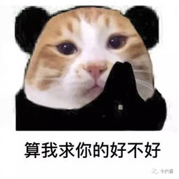 这个旅行必备神器你们以为只是个微博