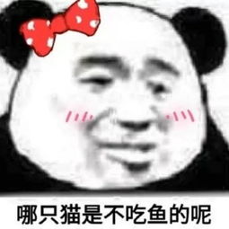 买1赠1鳕鱼真假分不清别慌,看完这篇秒懂