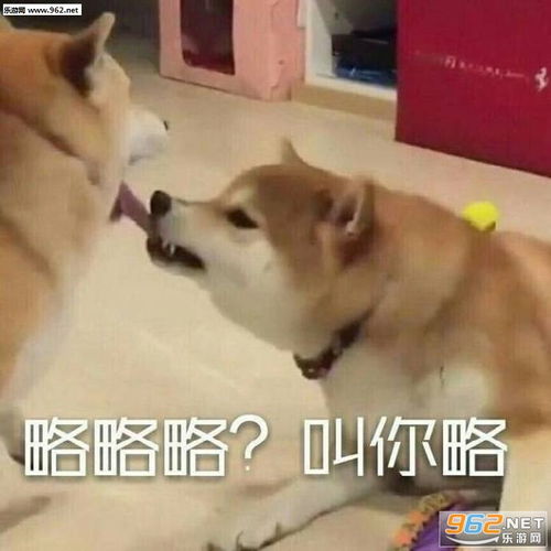 给老师的表情包略略略