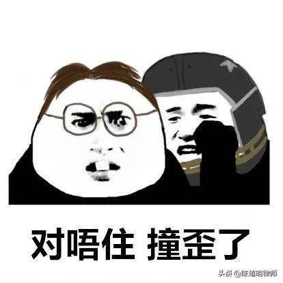 上市公司公开打脸证监会我实际造假比你查出来的还多得多