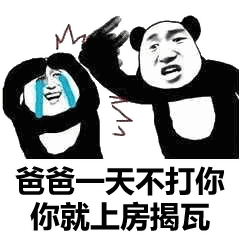 熊猫头表情包朕一日不死,你始终是太子