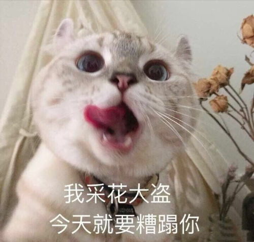 别生气表情包可爱毒舌