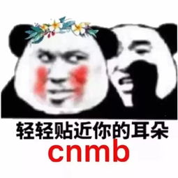 斗图表情包自从收藏了这些表情包之后,斗图从没有输过