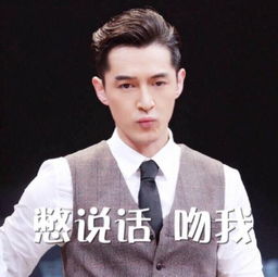 鹿晗李易峰赵丽颖胡歌明星表情包哪家强
