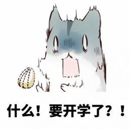 开学后的同学友谊,是否被疫情影响学生们笑而不语