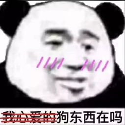 一波群聊斗图杂图