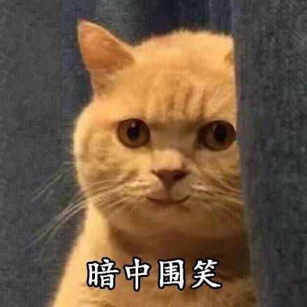 我妈不让我跟傻子玩表情包