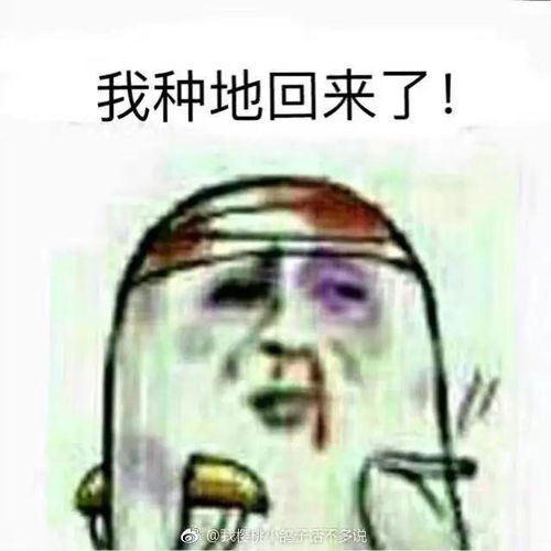 我回来了表情包主人