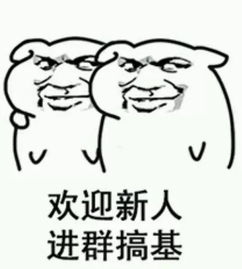 群聊表情包i欢迎新人