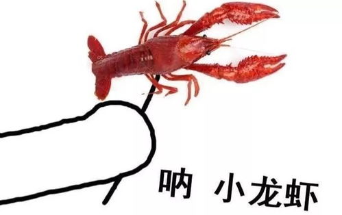 世界杯就连中国大妈都去了,就...中国国足没去...