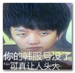 lol亚运会韩国队你输不起表情图片lol亚运会韩国队你输不起表情包高清版jz5u绿色下载站