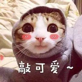 有ta,天天吃软饭