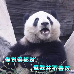 萌萌哒表情包整装待发,准备好接受这个超可爱的冲击波了吗