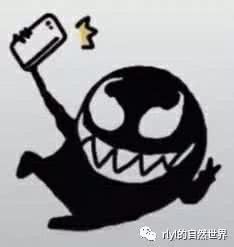 驼峰使者昆卡猎龙