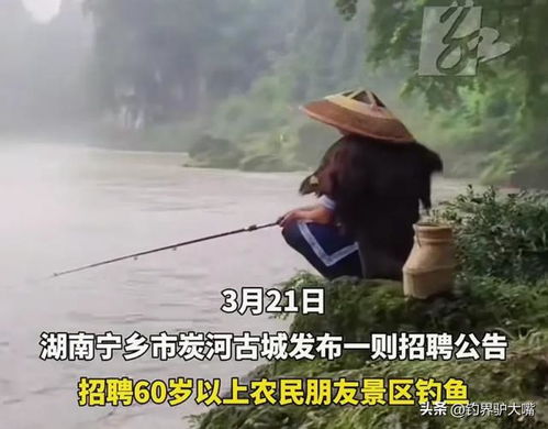 羡慕吗湖南一景区招60岁以上老人带薪钓鱼年轻钓友破防了