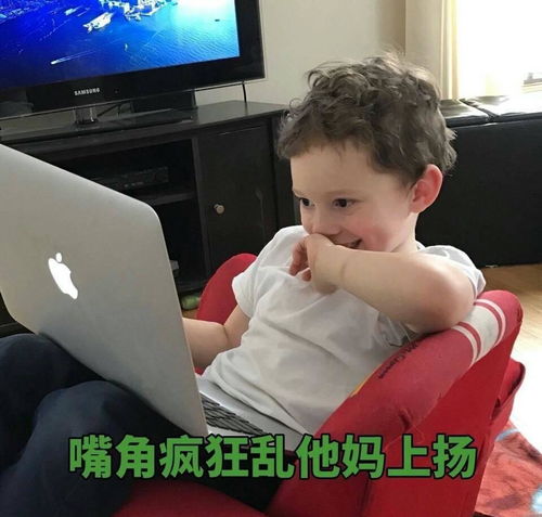 你见到过最有趣的表情图