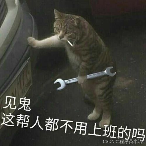 六年前网瘾少年,六年后20k北漂测试人,过来人给朋友们一些建议程序员小洁的博客csdn博客