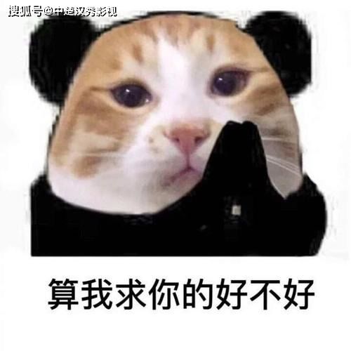 12月烂片冷血狂宴如果声音不记得,郭敬明出来挨骂