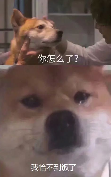 红包表情包可爱猝不及防
