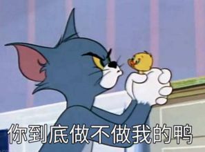 抖音四块五的妞是什么梗什么意思含义出处介绍