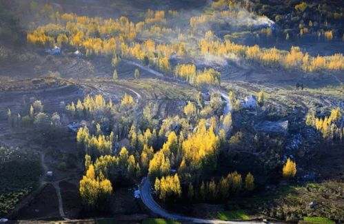 50岁大叔精心改造5个沂蒙石屋,在沂蒙山美景中做一场森林美梦