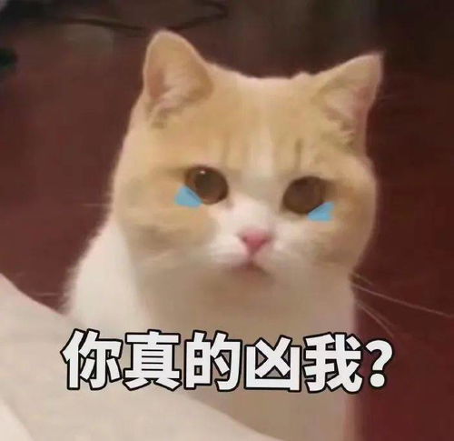 可爱仙女表情包亲亲这边建议你中意我一下