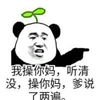 熊猫头骂脏话表情包