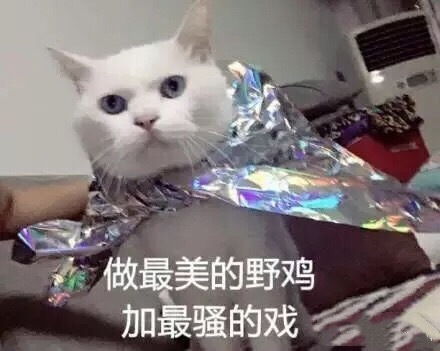 据说命越算越薄