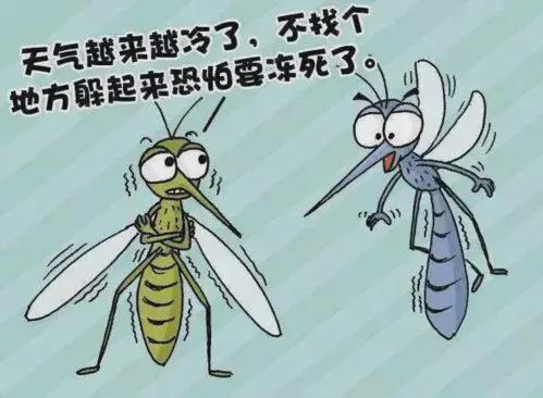 才知道蚊子的最大克星不是蚊香原来驱蚊很简单,整晚开窗都不怕